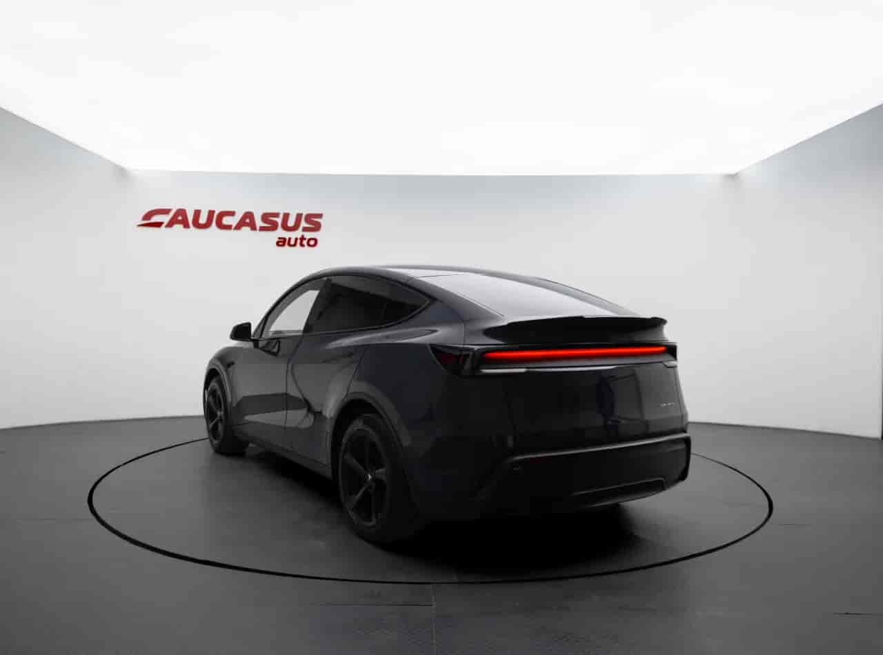 TESLA Model Y - 6