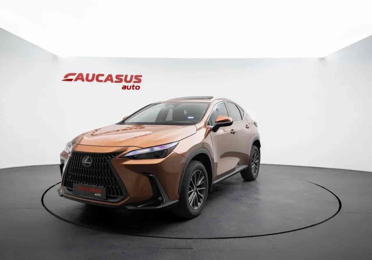 LEXUS NX - 1