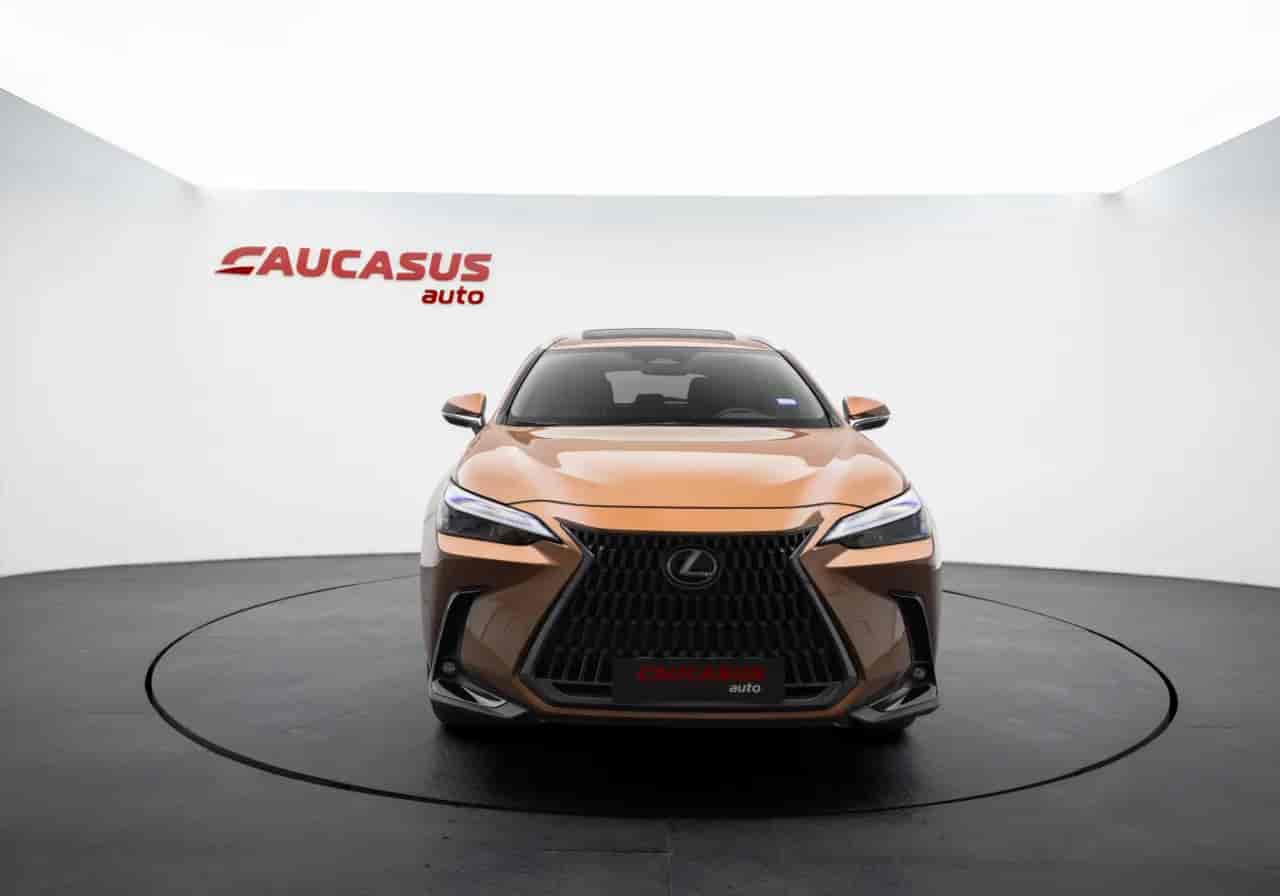 LEXUS NX - 2