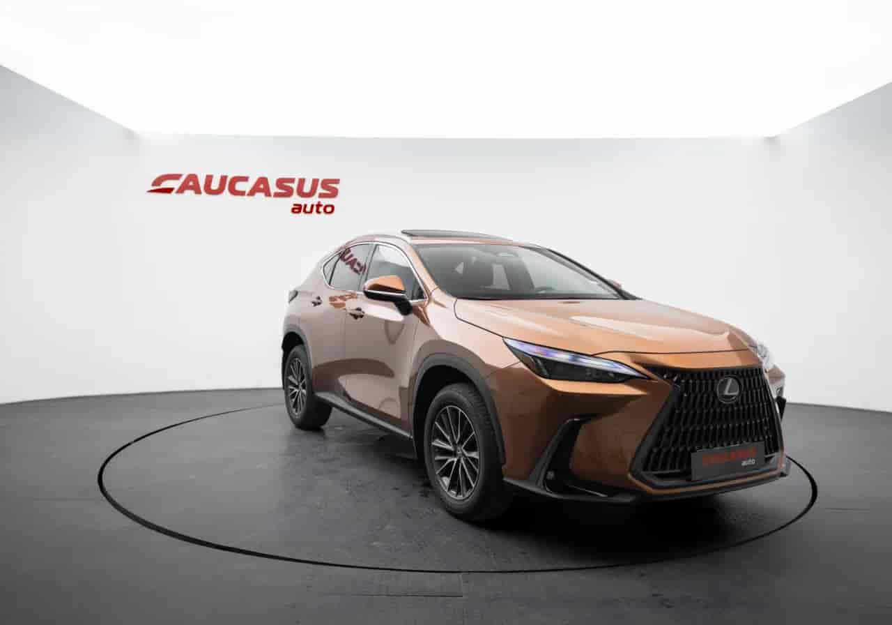 LEXUS NX - 3