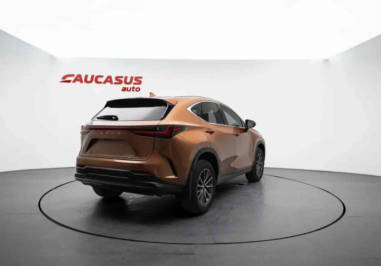 LEXUS NX - 4