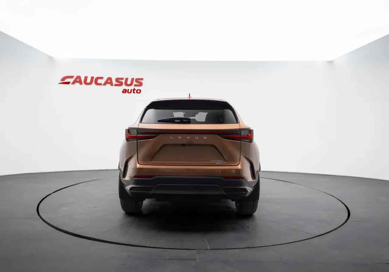 LEXUS NX - 5