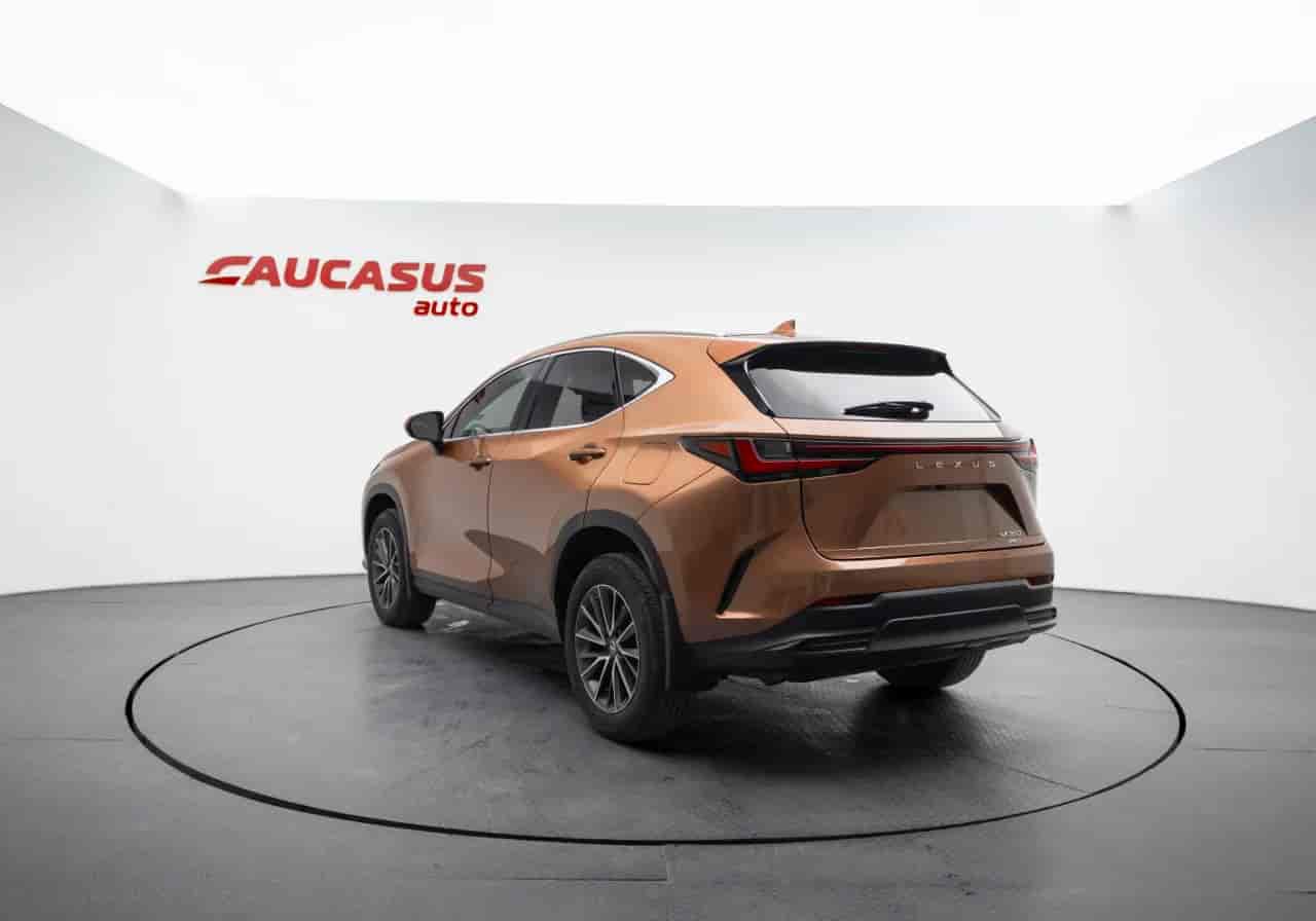 LEXUS NX - 6