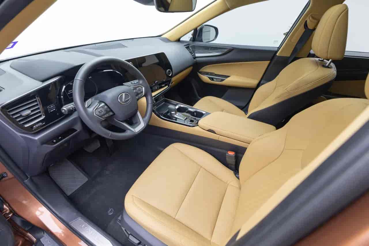 LEXUS NX - 10