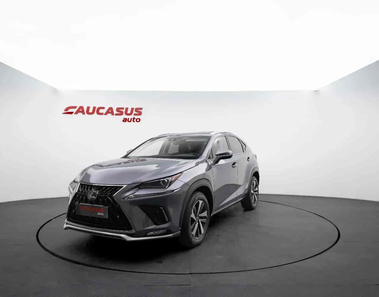 LEXUS NX - 1