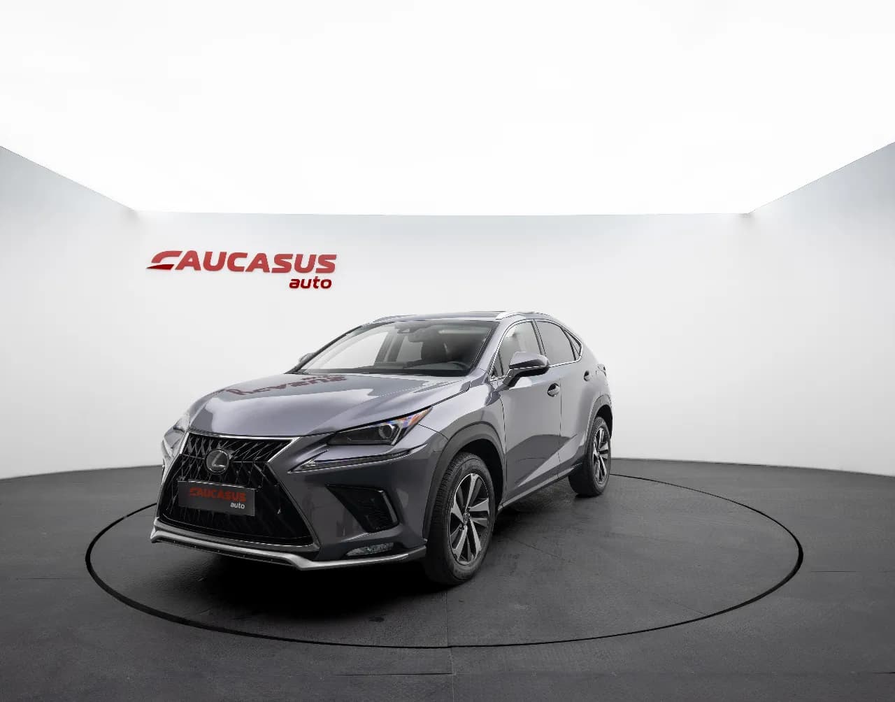 2020 LEXUS NX