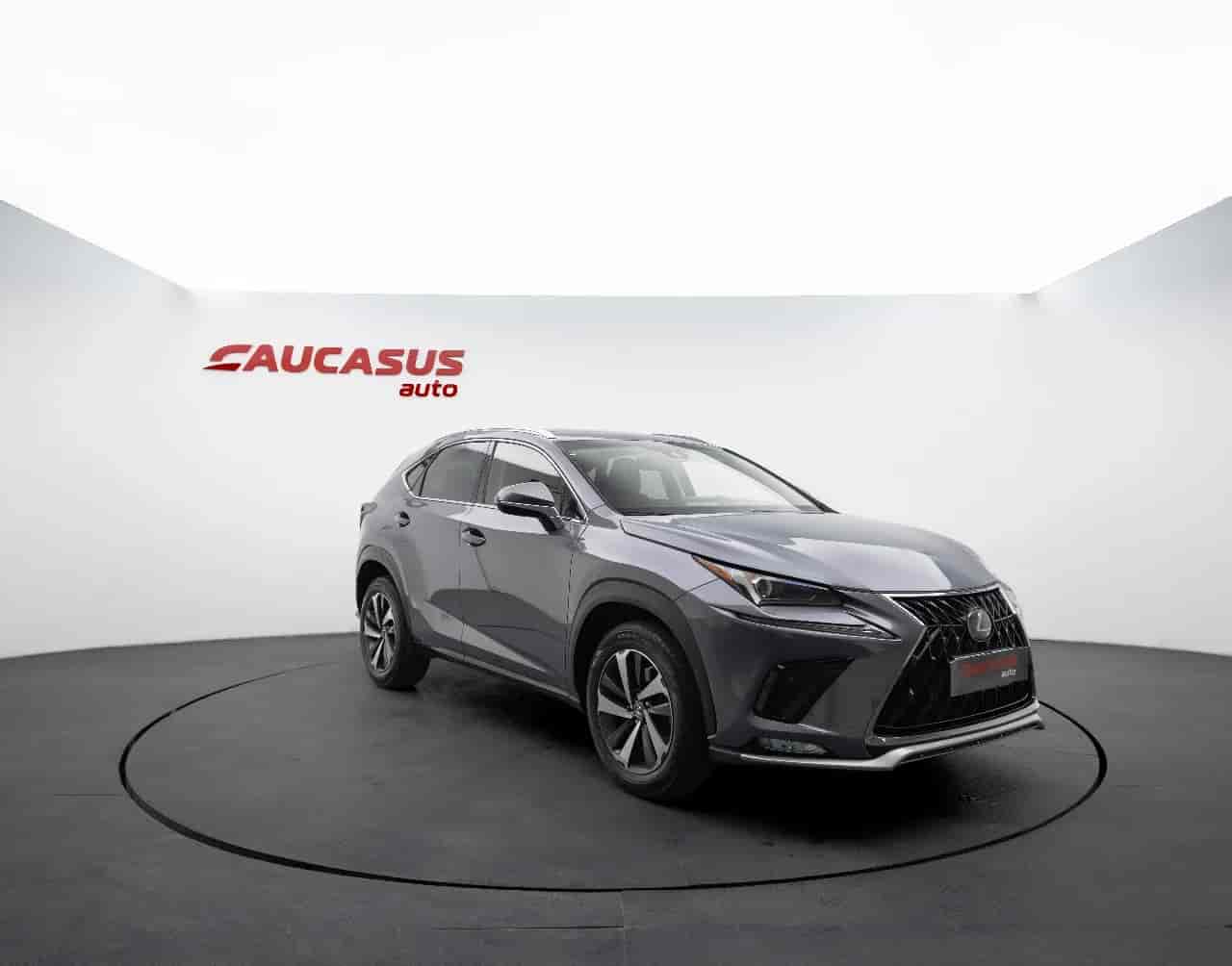 LEXUS NX - 3