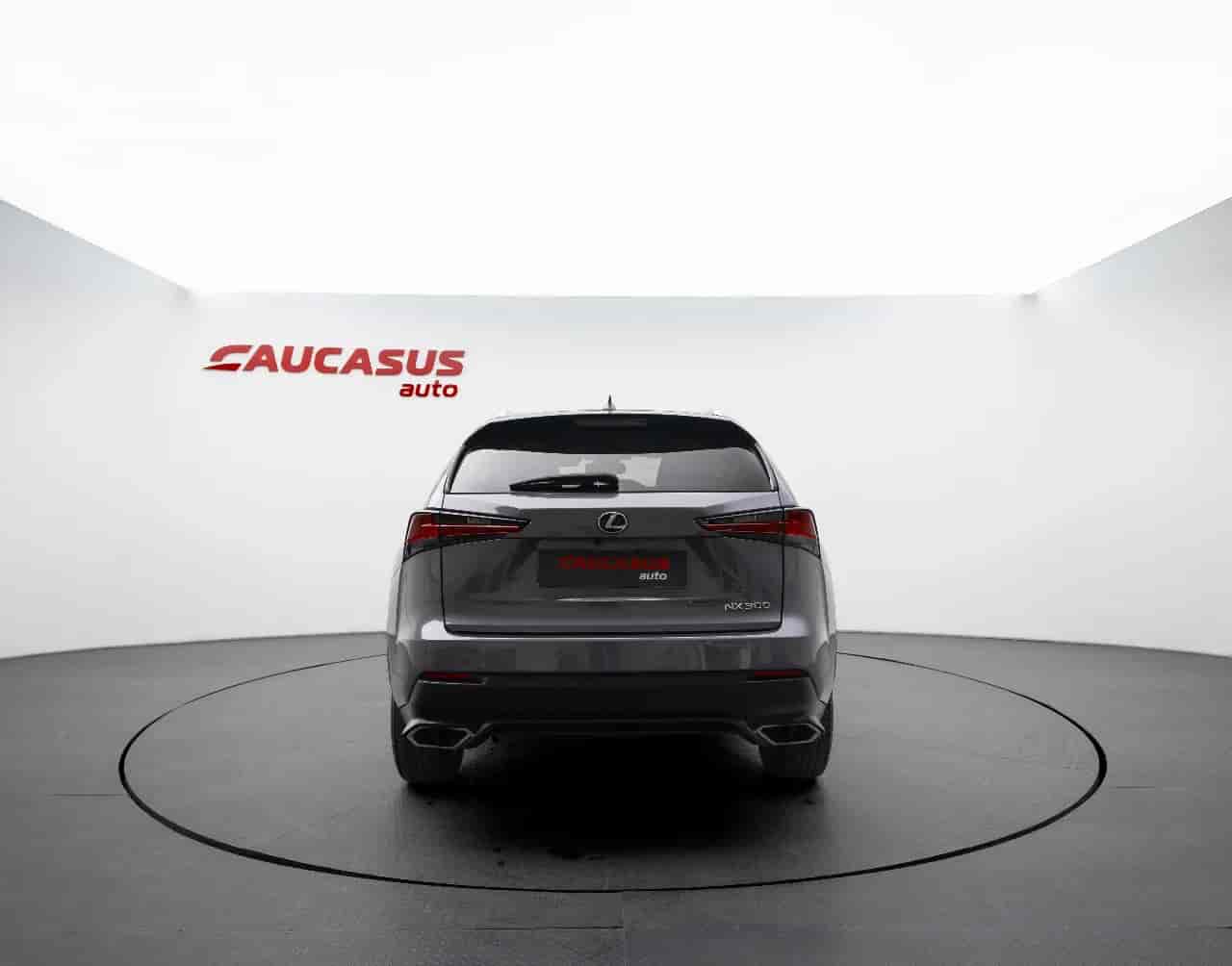 LEXUS NX - 5