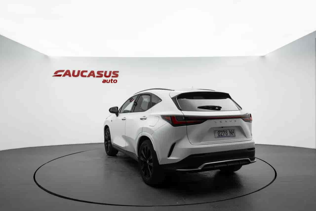 LEXUS NX - 6
