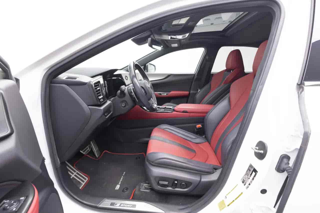 LEXUS NX - 10