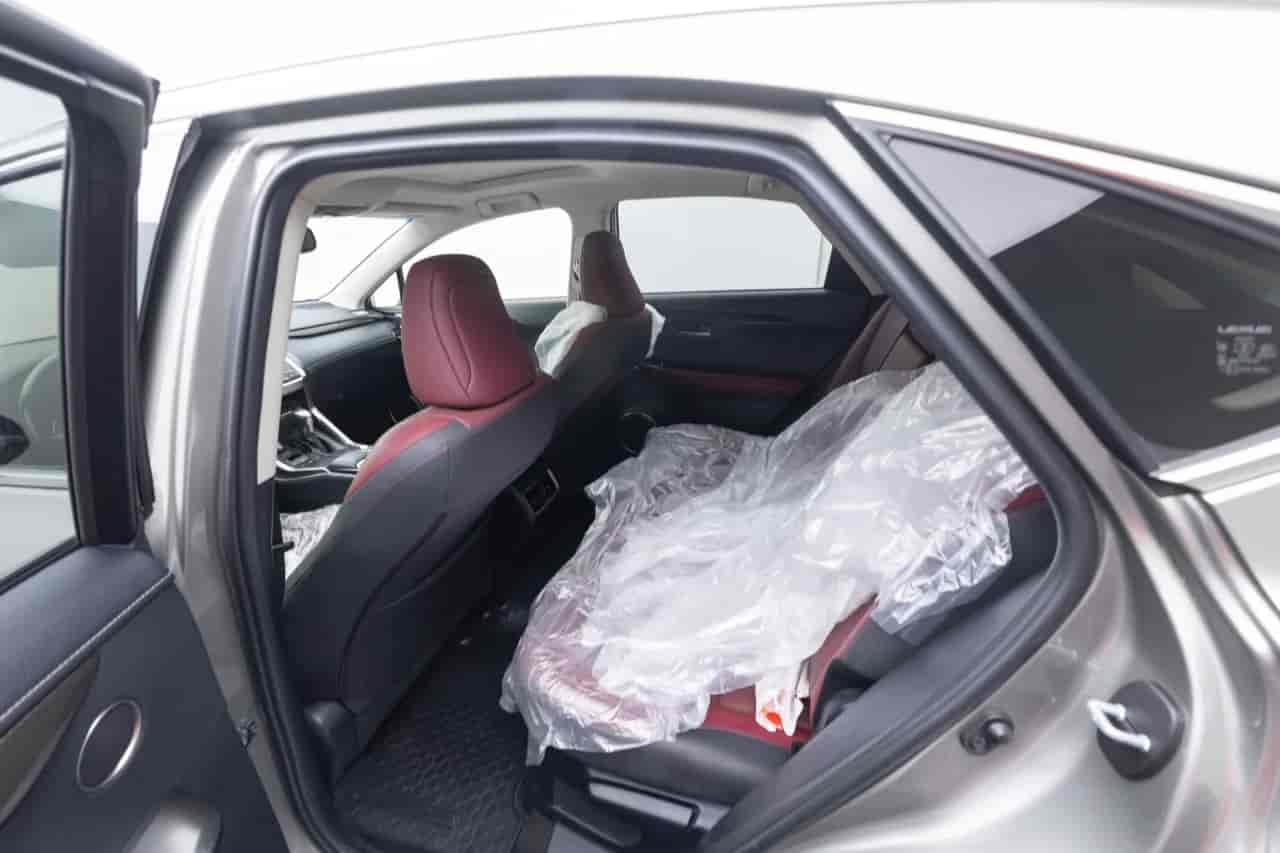 LEXUS NX 300 - 8