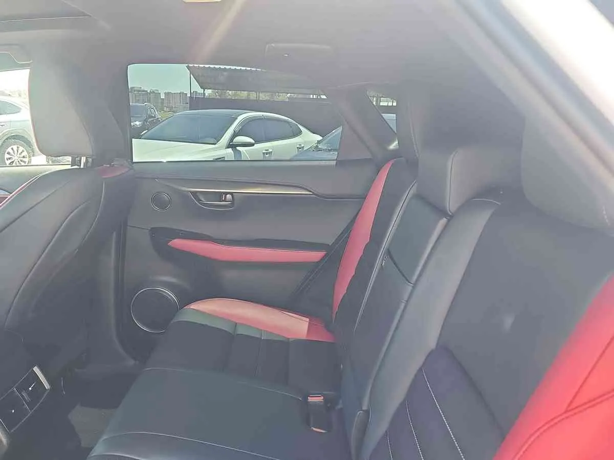 LEXUS NX 300 - 7