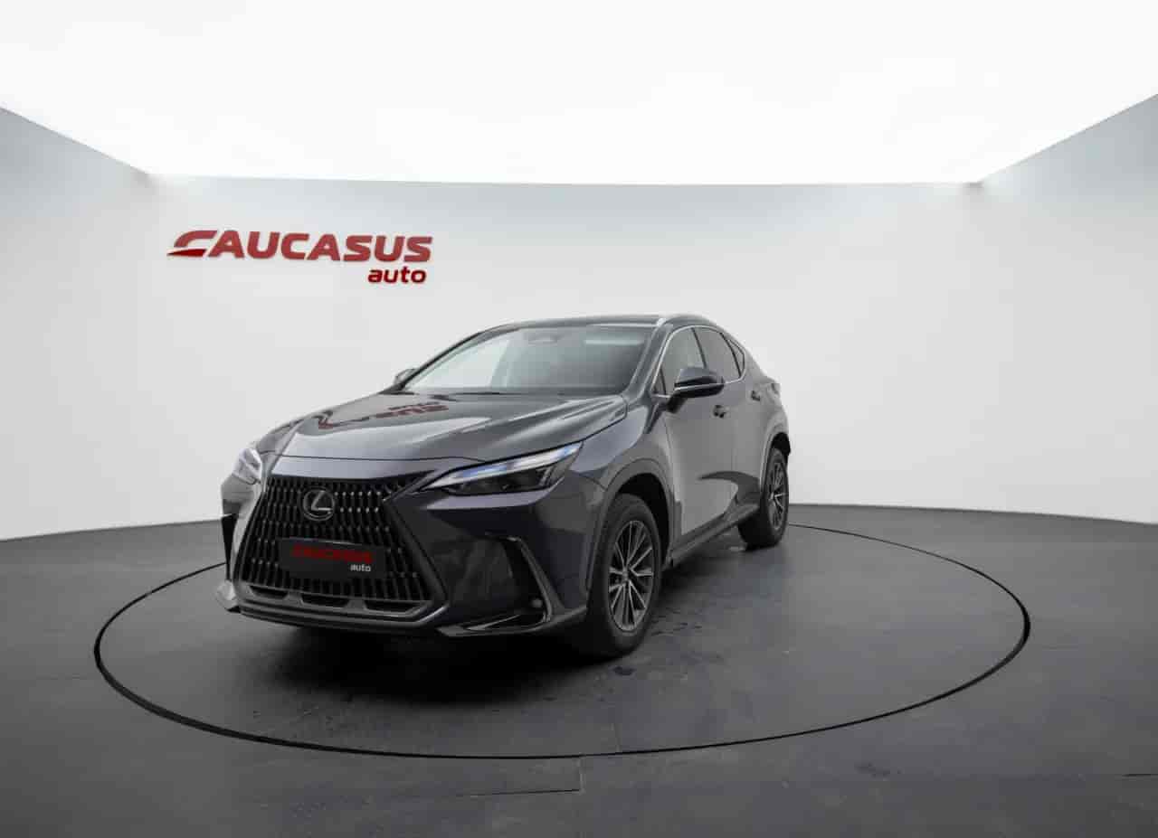 LEXUS NX - 1