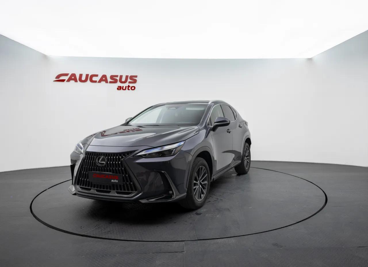 2024 LEXUS NX