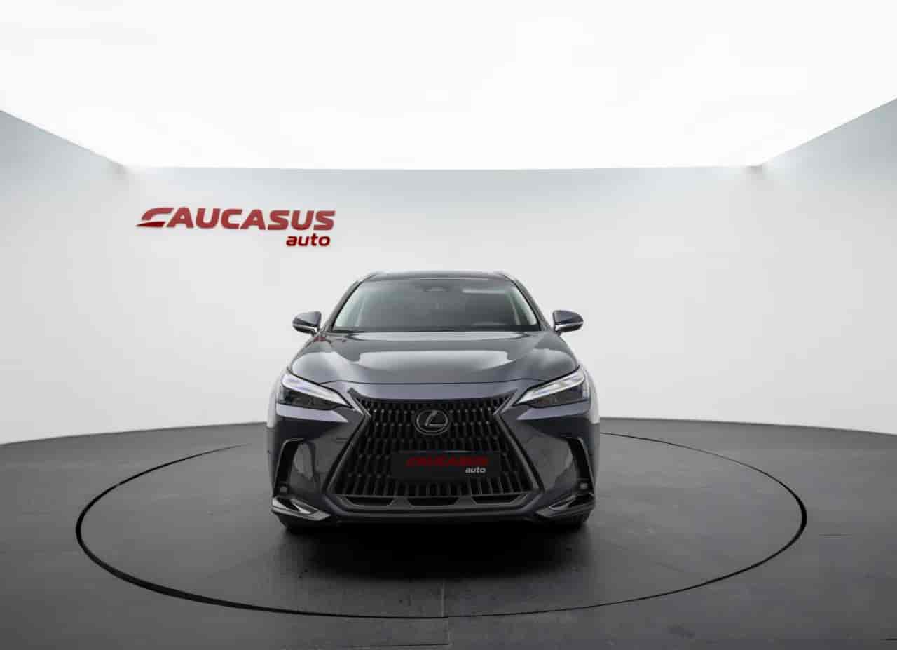 LEXUS NX - 2