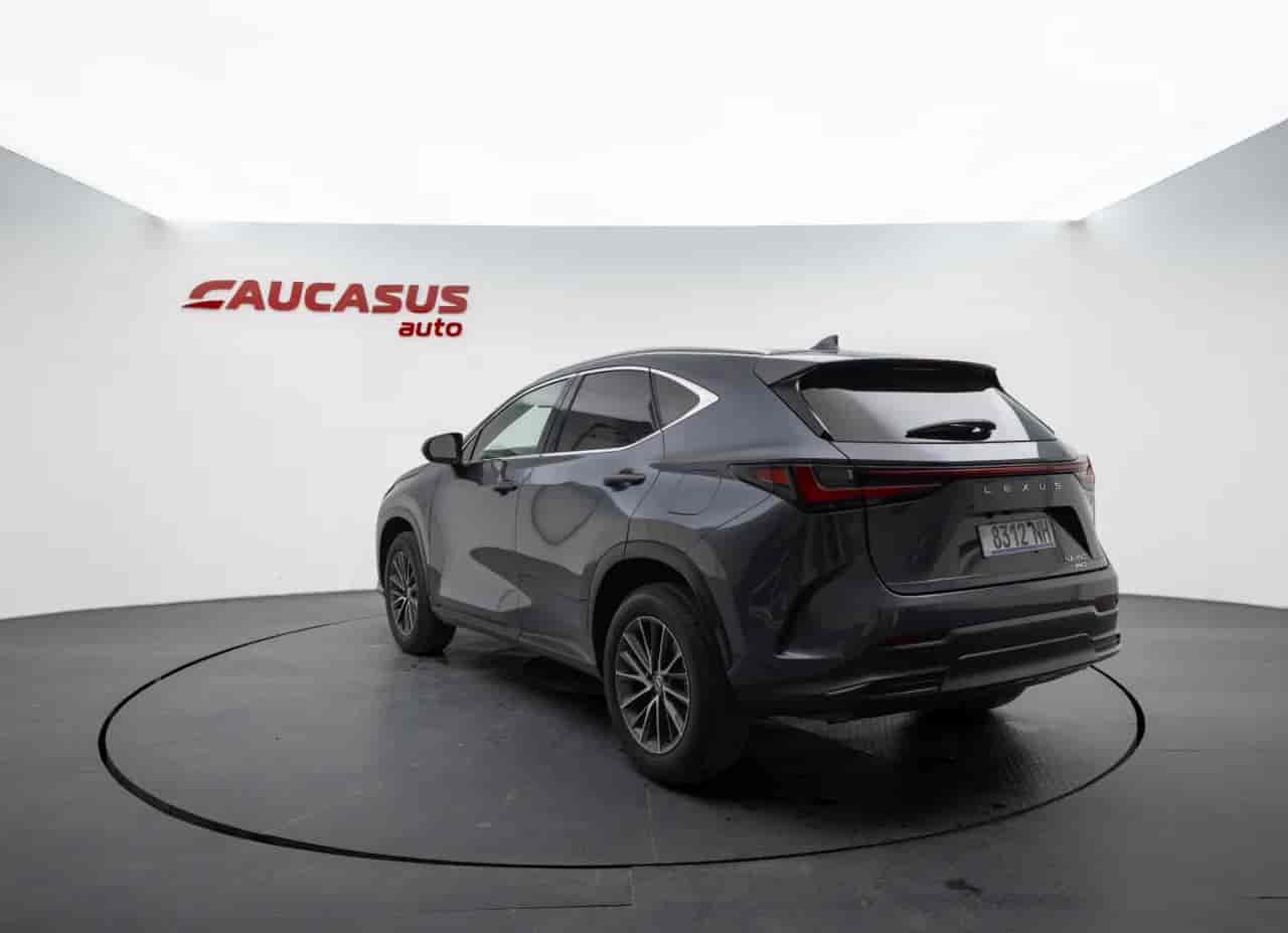 LEXUS NX - 6