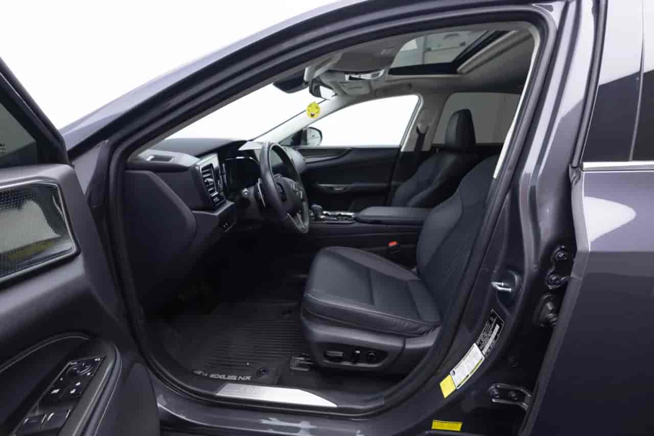LEXUS NX - 10