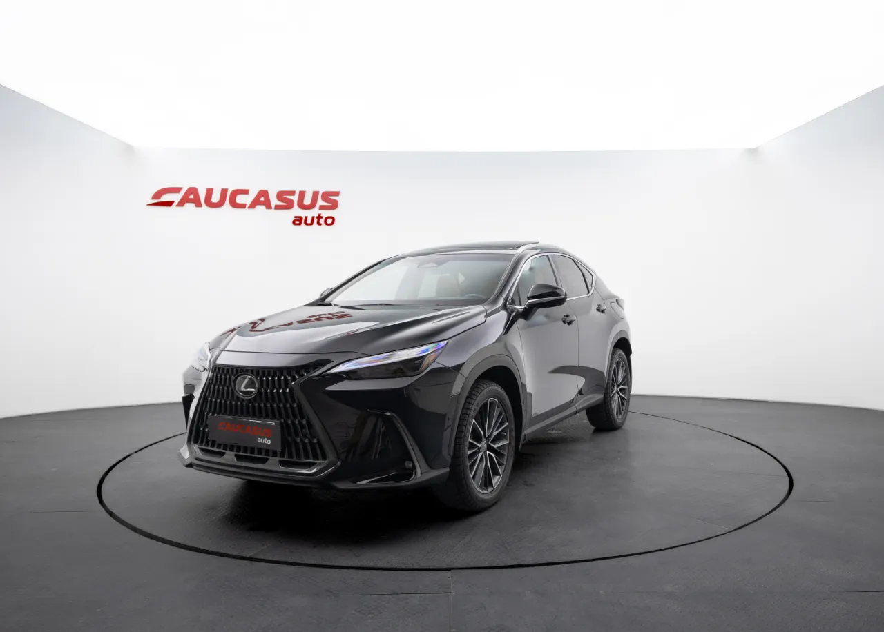 2022 LEXUS NX
