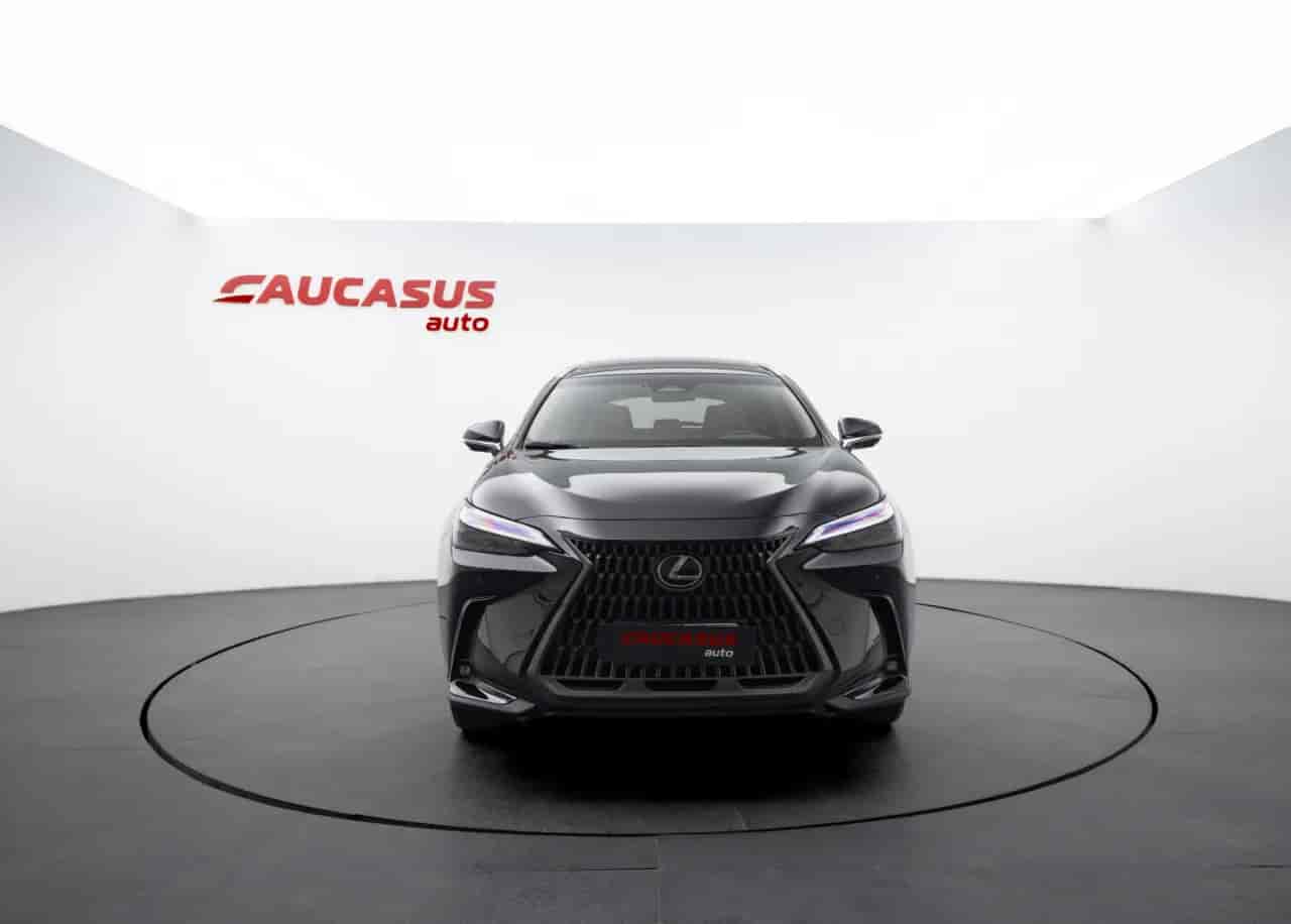 LEXUS NX - 2