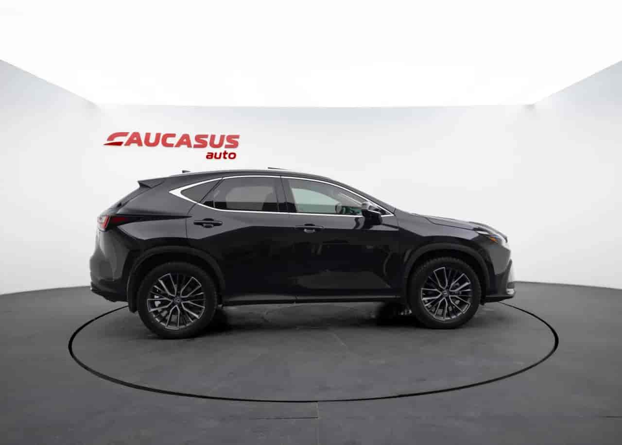 LEXUS NX - 4