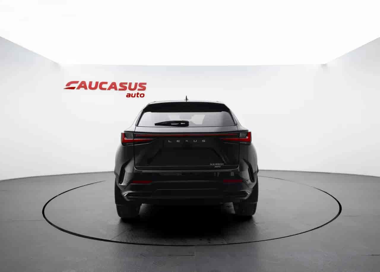 LEXUS NX - 6