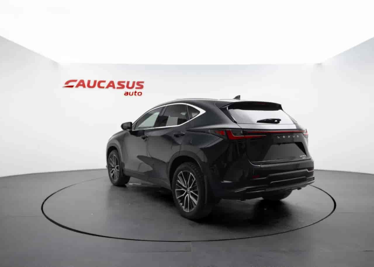 LEXUS NX - 7
