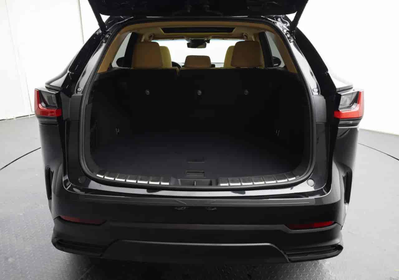 LEXUS NX - 8
