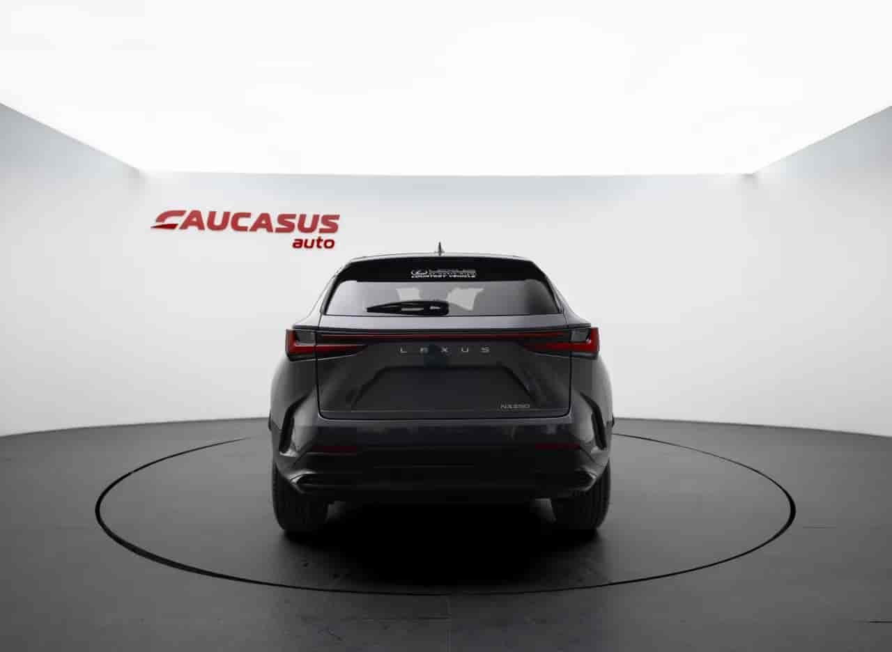 LEXUS NX - 5