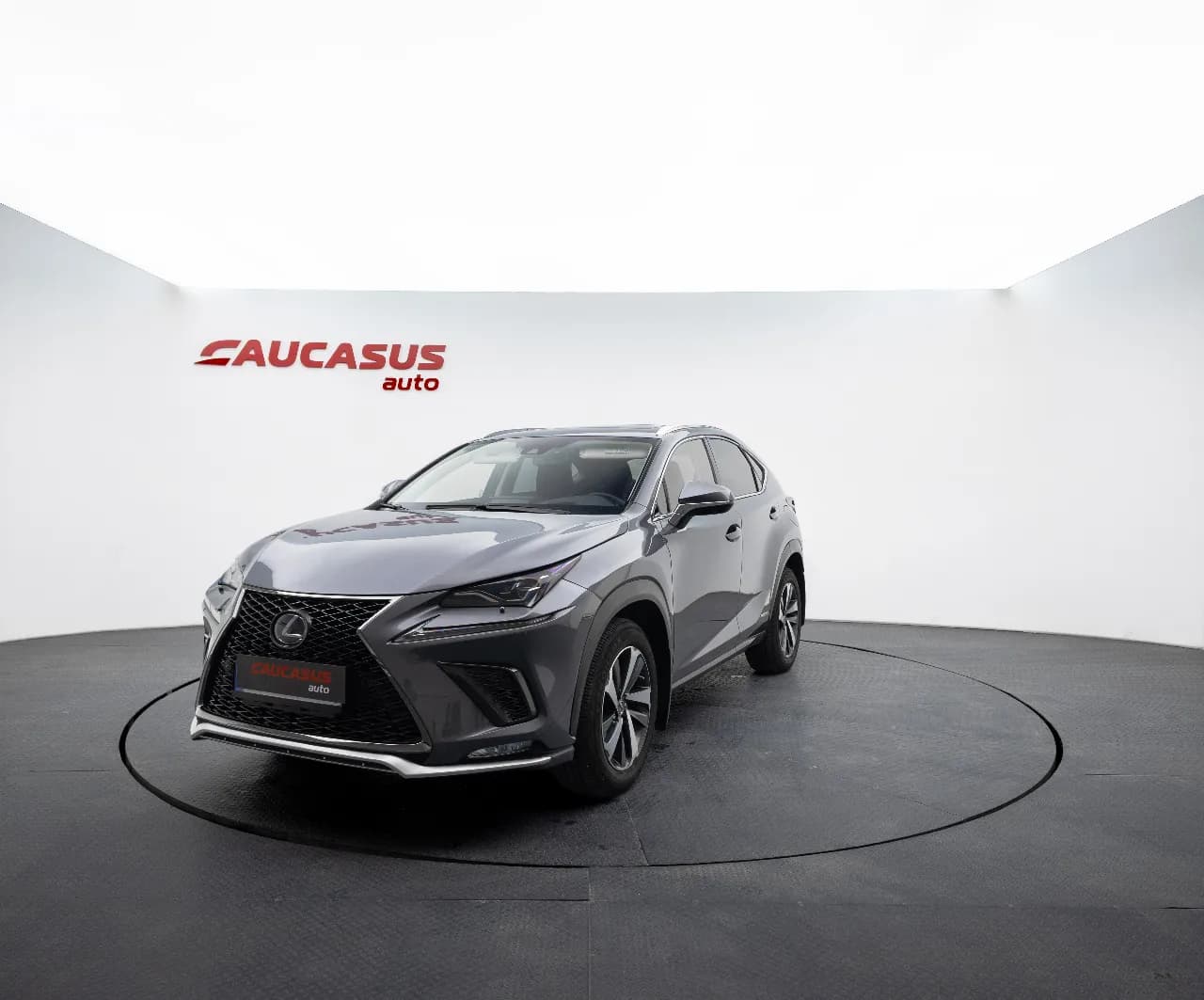 2021 LEXUS NX