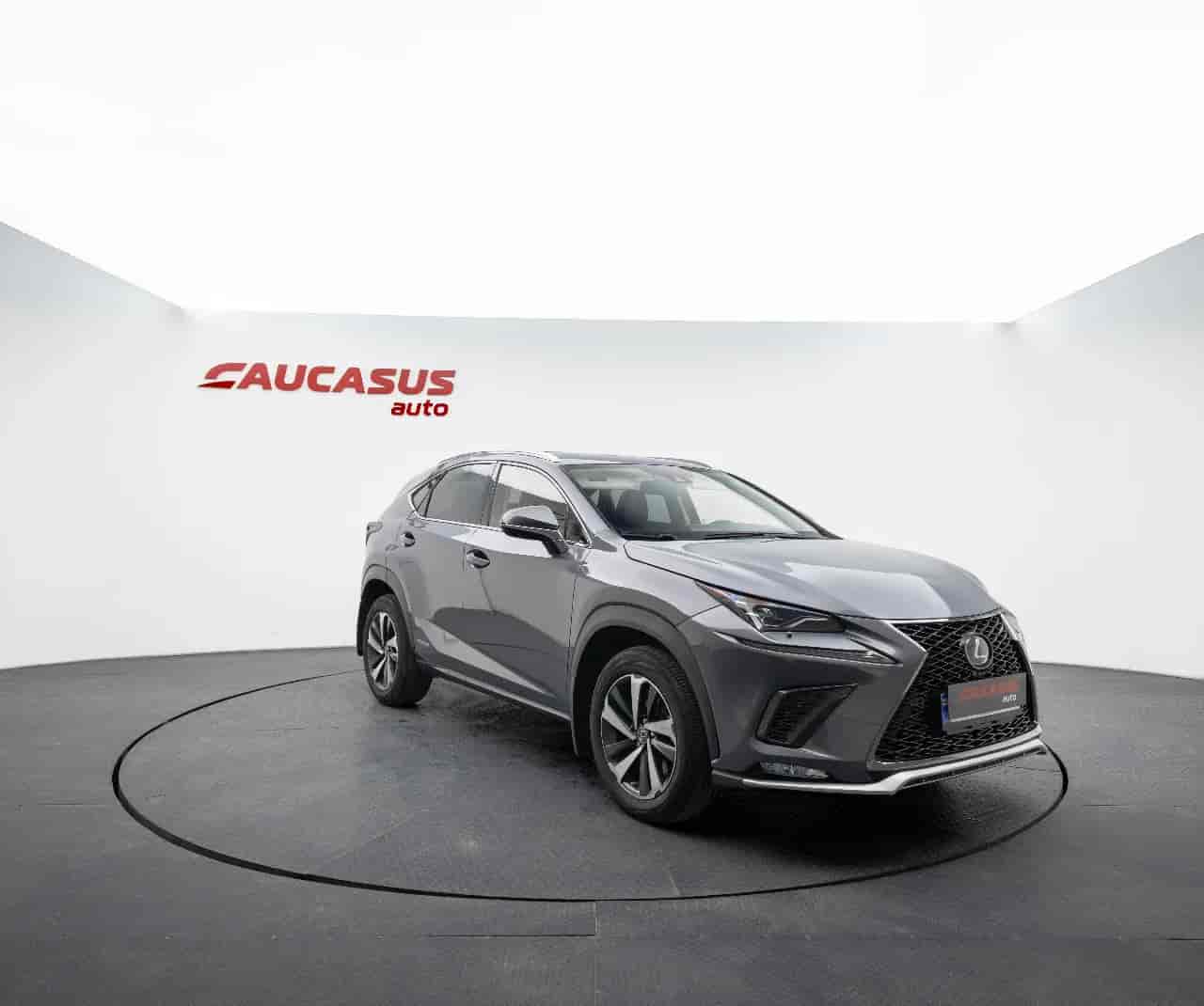 LEXUS NX - 3