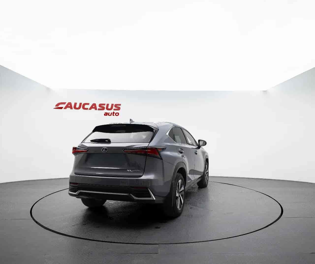 LEXUS NX - 4