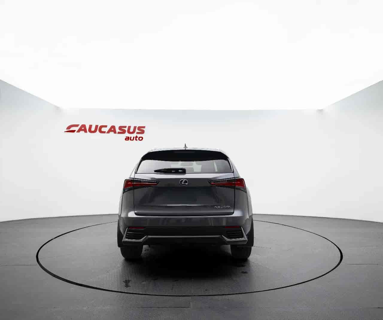 LEXUS NX - 5
