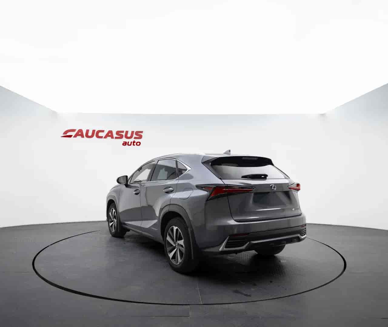 LEXUS NX - 6