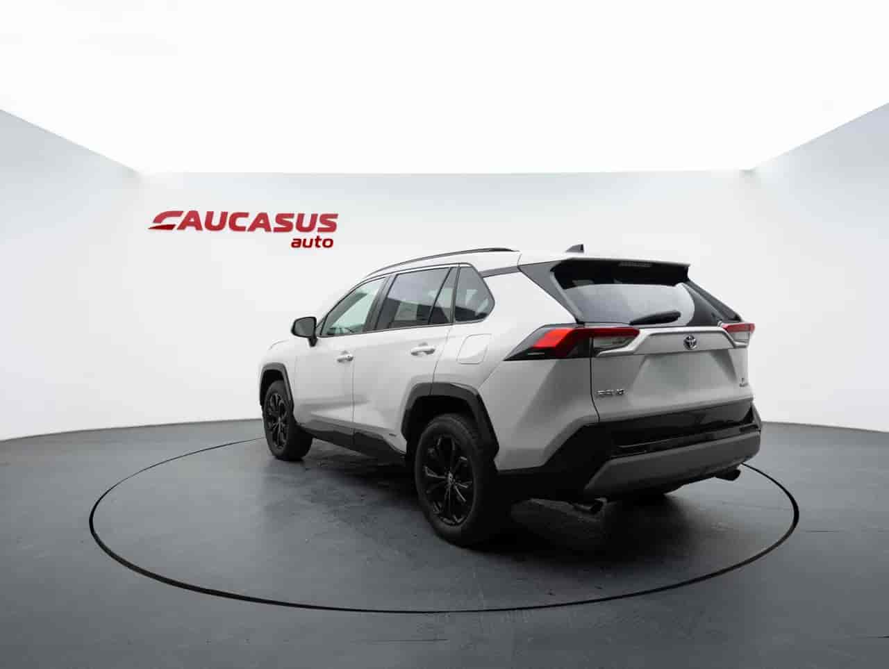 TOYOTA RAV4 - 6