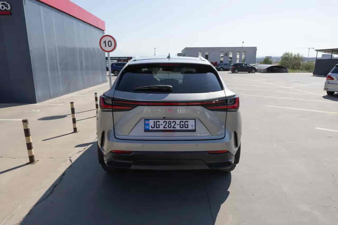 LEXUS NX - 6
