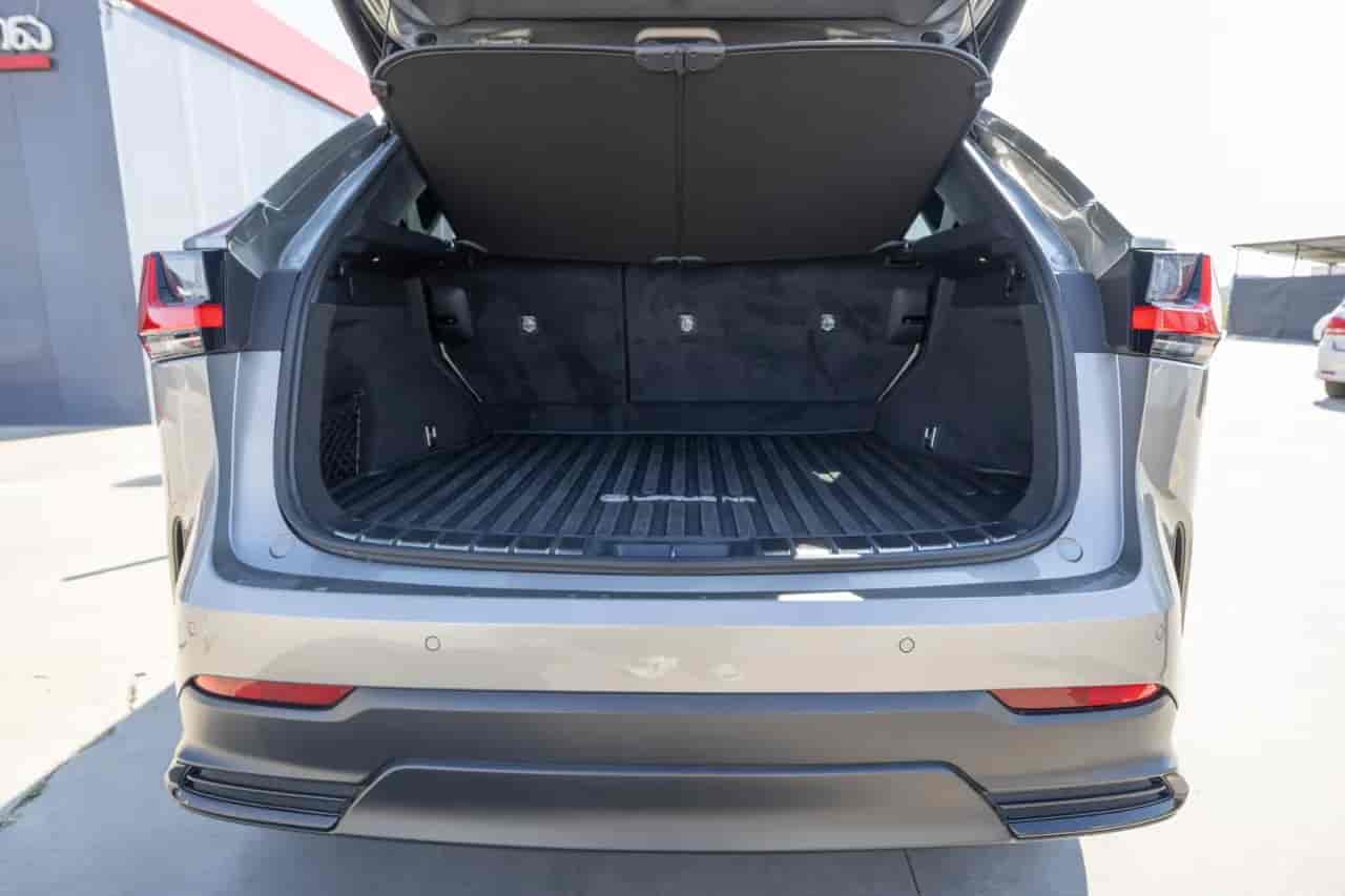 LEXUS NX - 8