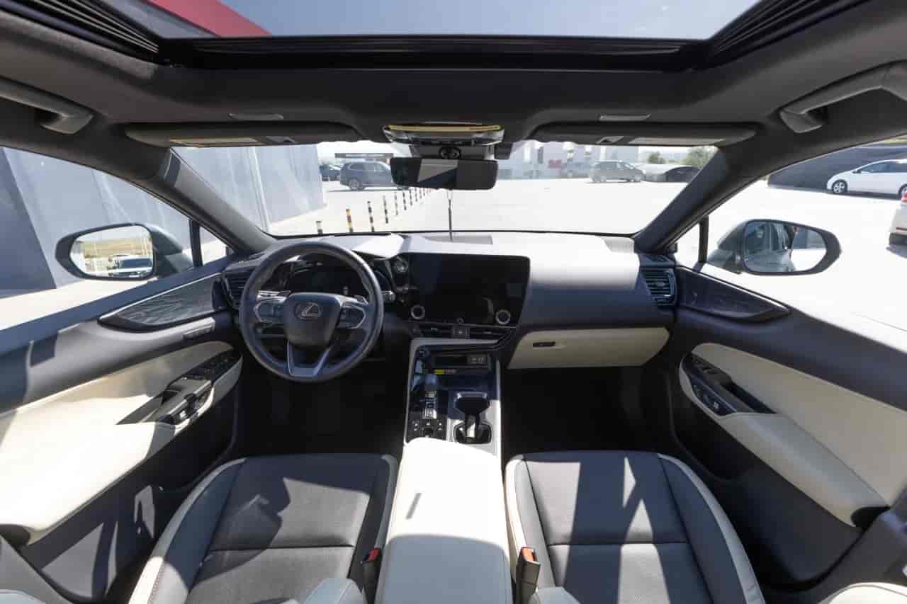 LEXUS NX - 10