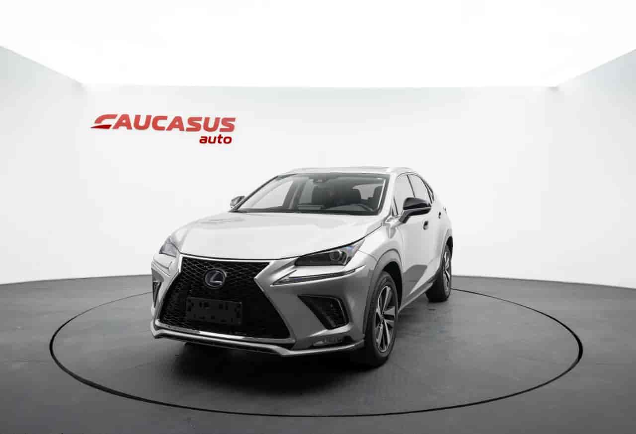 LEXUS NX - 1