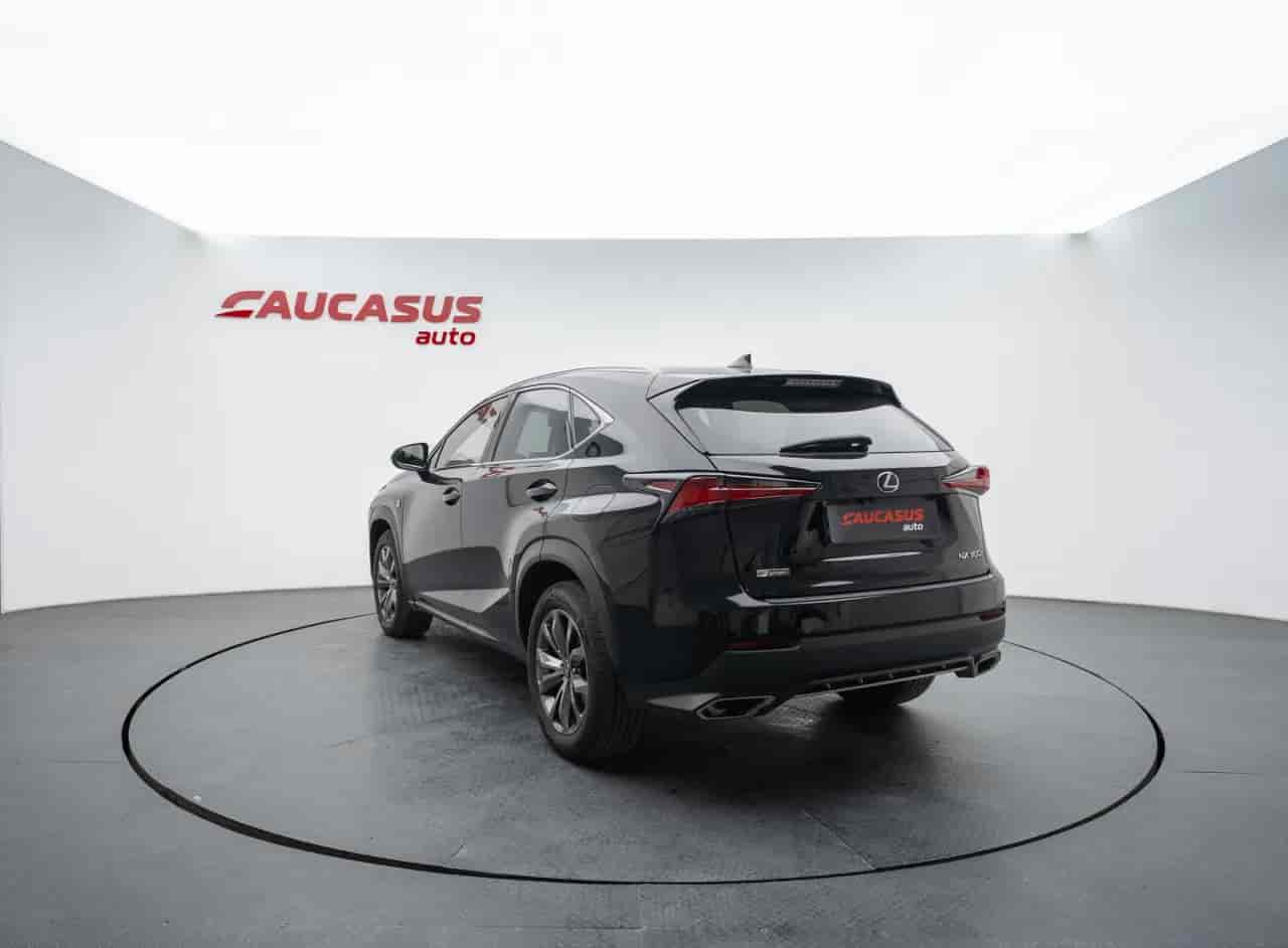 LEXUS NX 300 - 6
