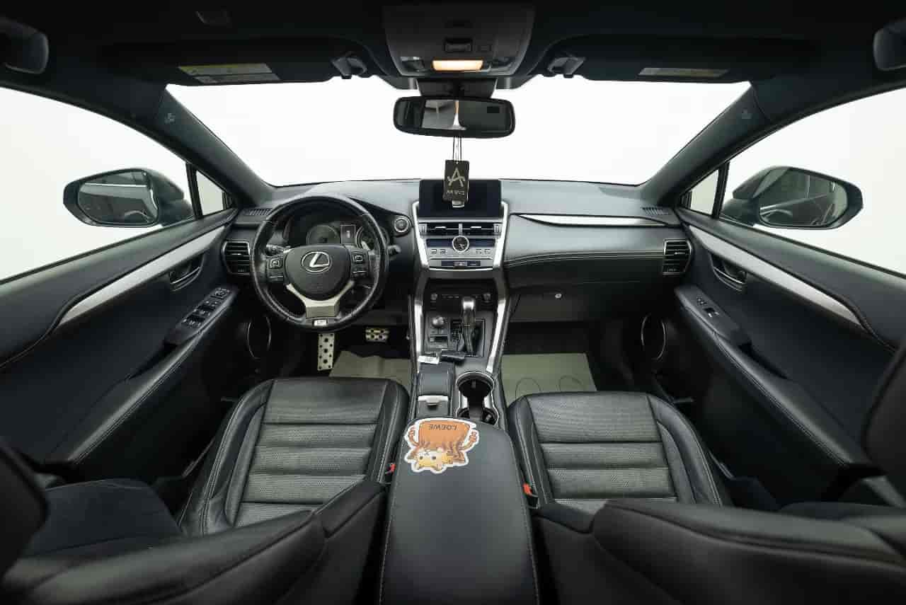 LEXUS NX 300 - 10