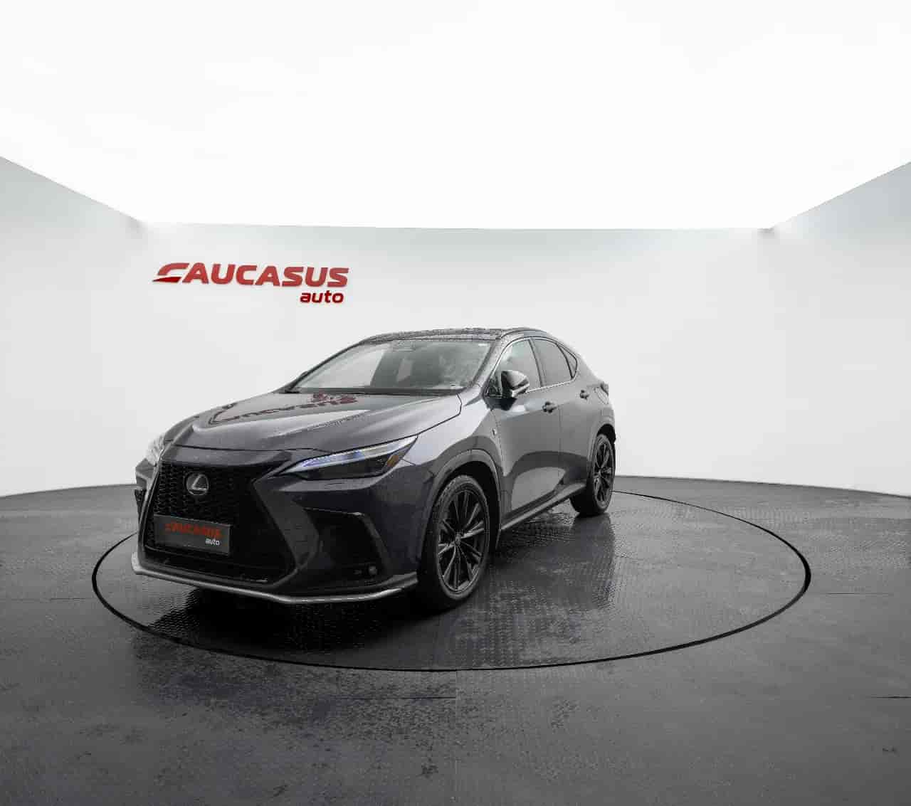 LEXUS NX - 1