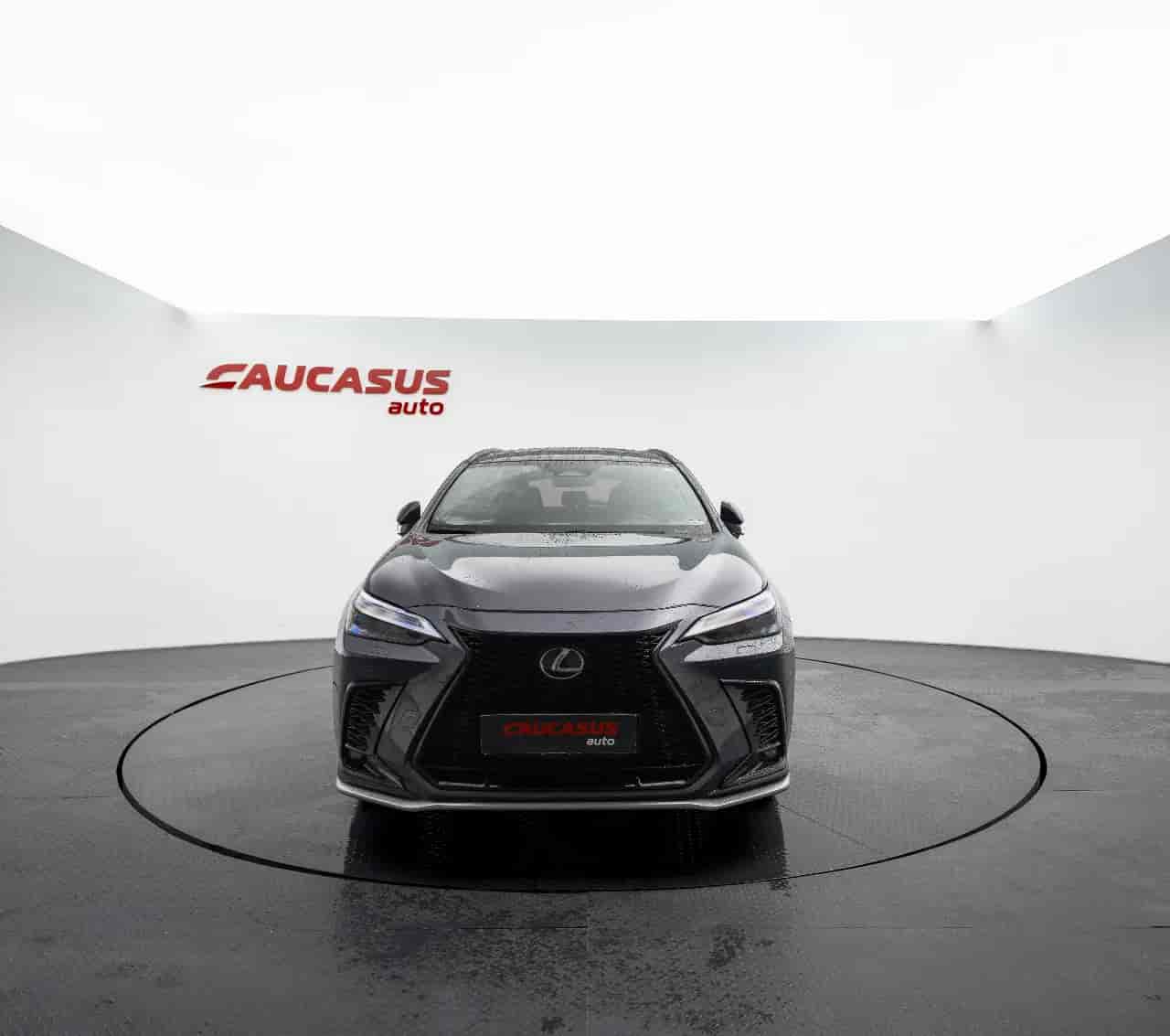 LEXUS NX - 2