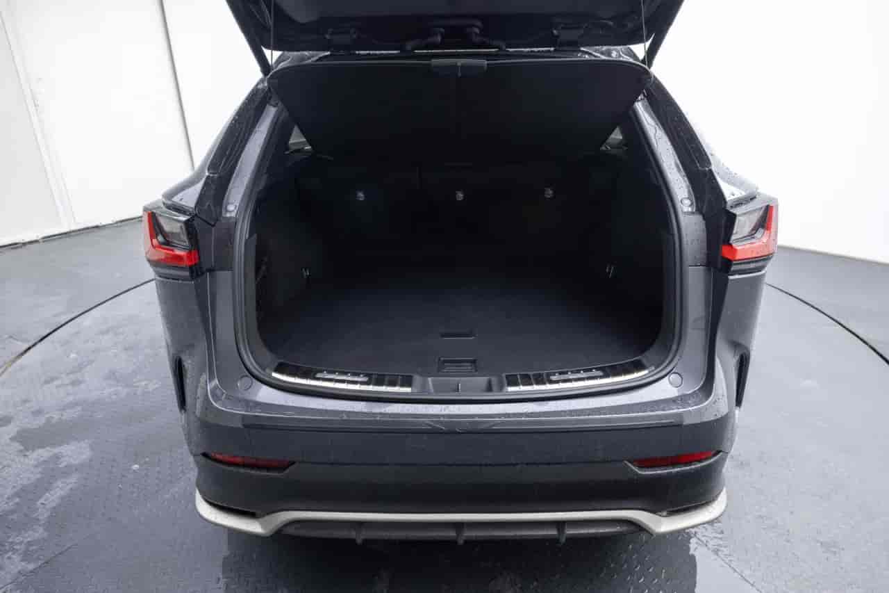 LEXUS NX - 7