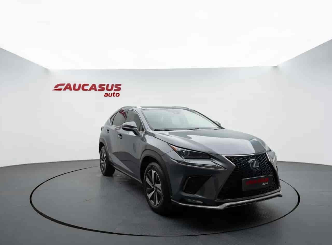 LEXUS NX - 3
