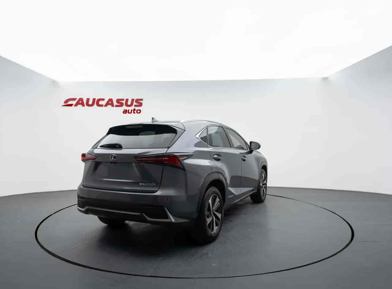 LEXUS NX - 4