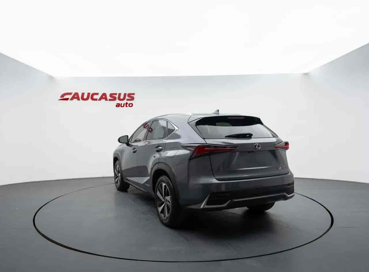 LEXUS NX - 6