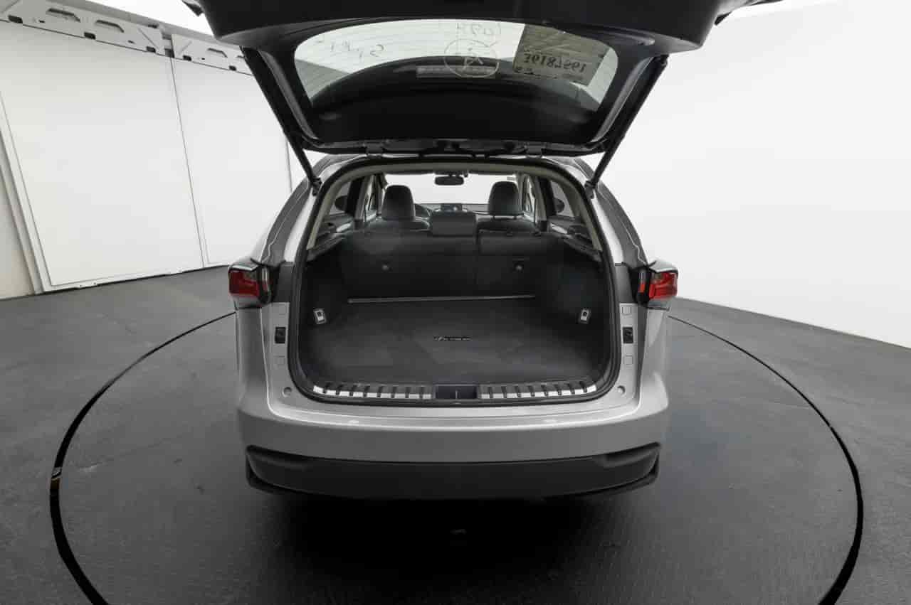 LEXUS NX - 10