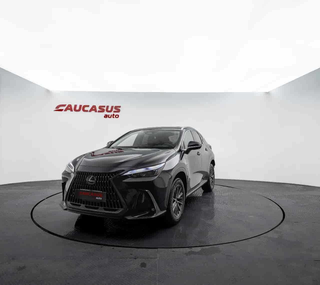 LEXUS NX - 1