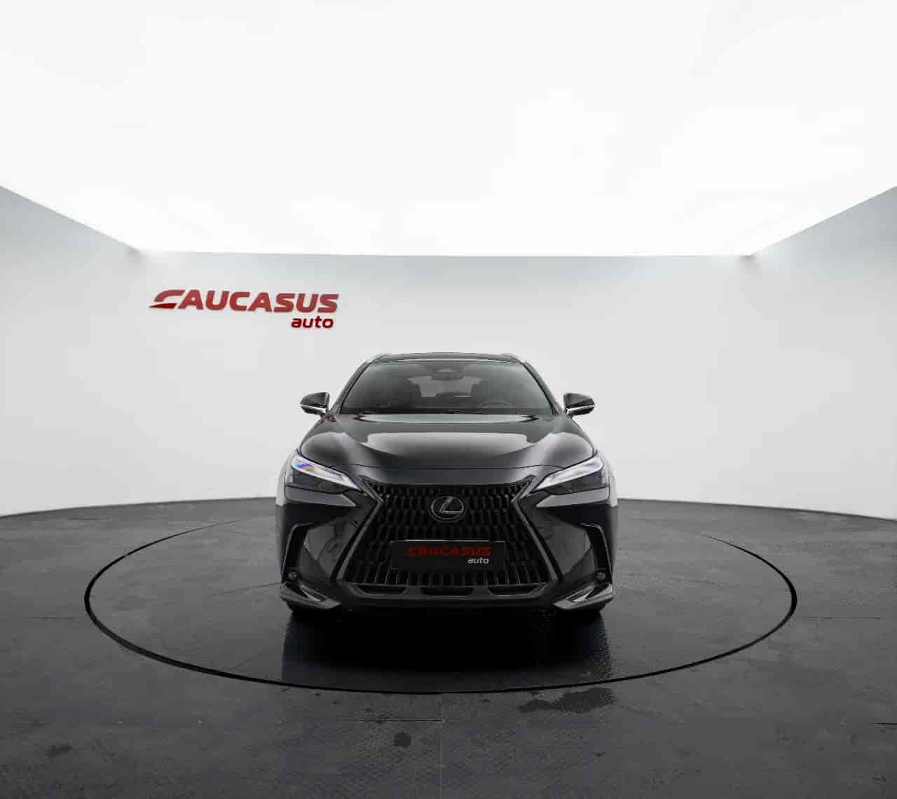 LEXUS NX - 2