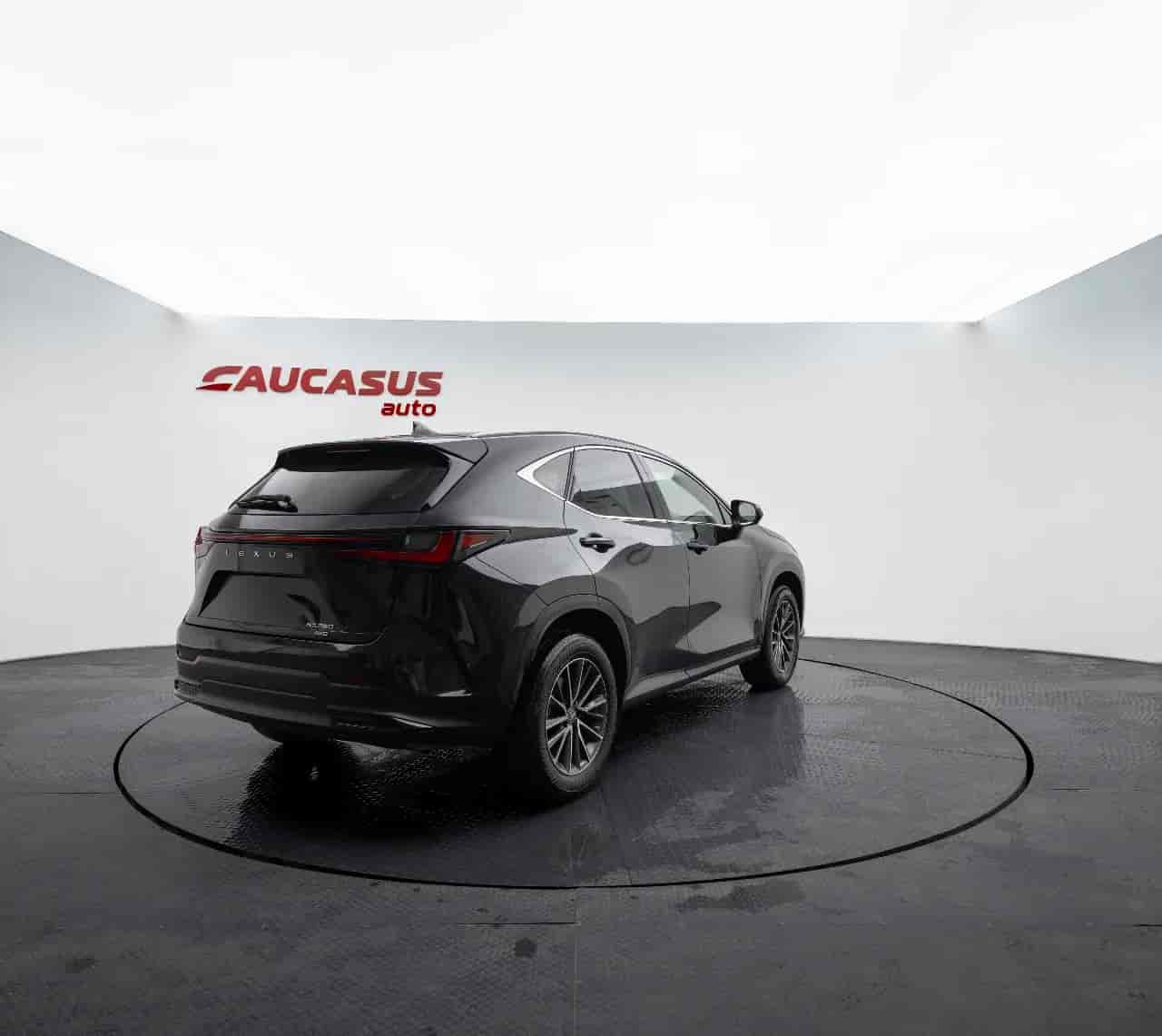 LEXUS NX - 4